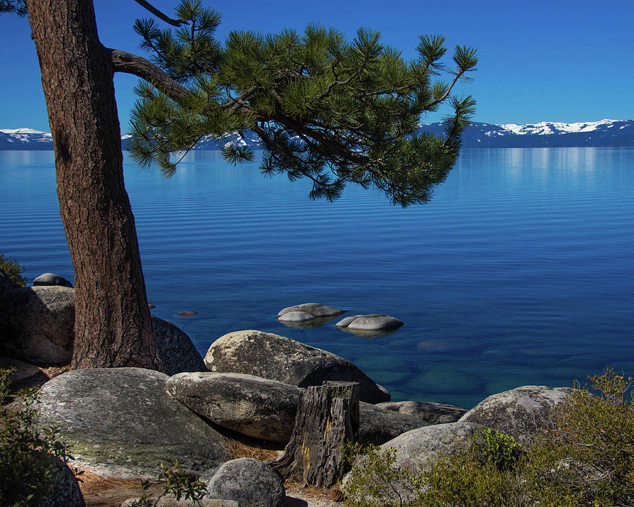 Spring Day @ Tahoe Photograph by Robin Valentine