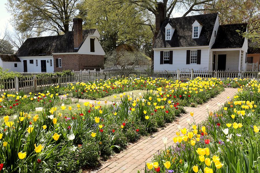 Spring Day at a Colonial Garden Photograph by Rachel Morrison