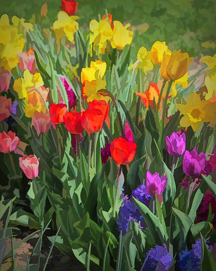 Spring Delight Photograph by Lorraine Baum