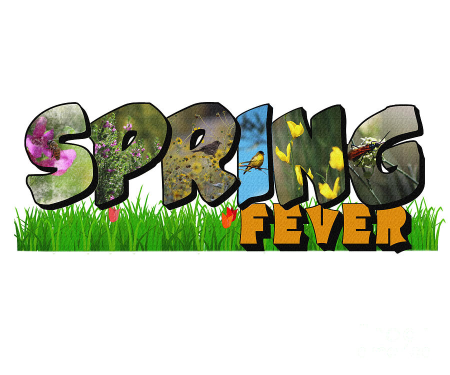 Spring Photograph - Spring Fever Big Letter by Colleen Cornelius