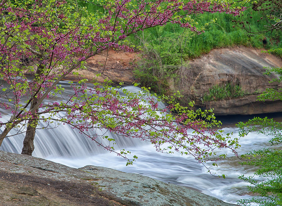 Spring Flow at Falls Park Photograph by Blaine Owens