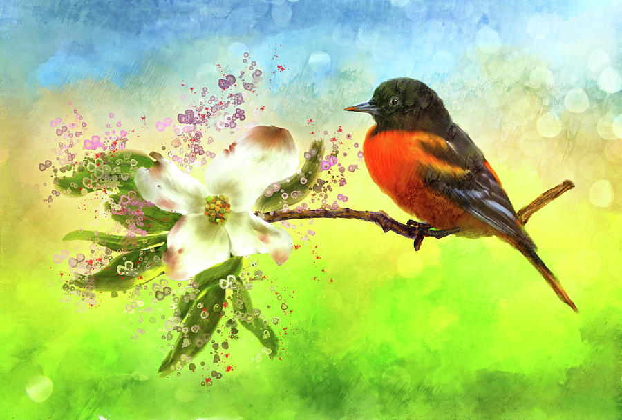 Oriole Mixed Media - Spring Flower and Oriole by Mary Timman