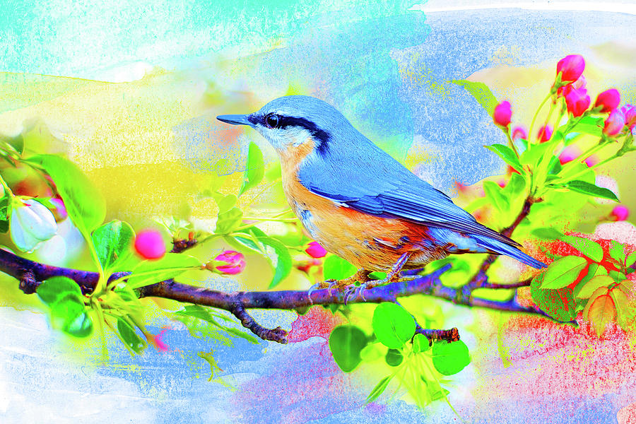 Spring Mixed Media - Spring Flowers And Bird 6 by Ata Alishahi