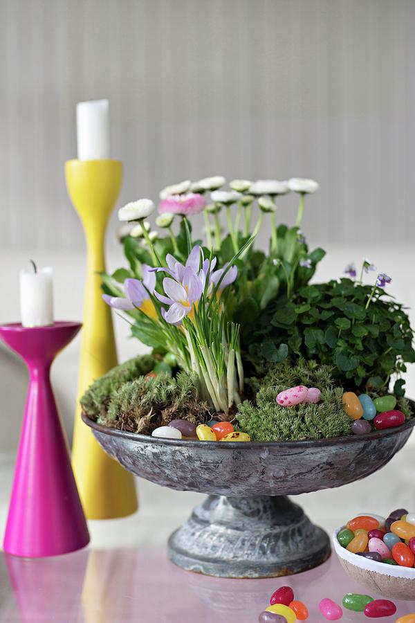 Spring Flowers And Easter Decorations In Vintage Metal Dish Next To Brightly Coloured Candlesticks Photograph by Cecilia Mller