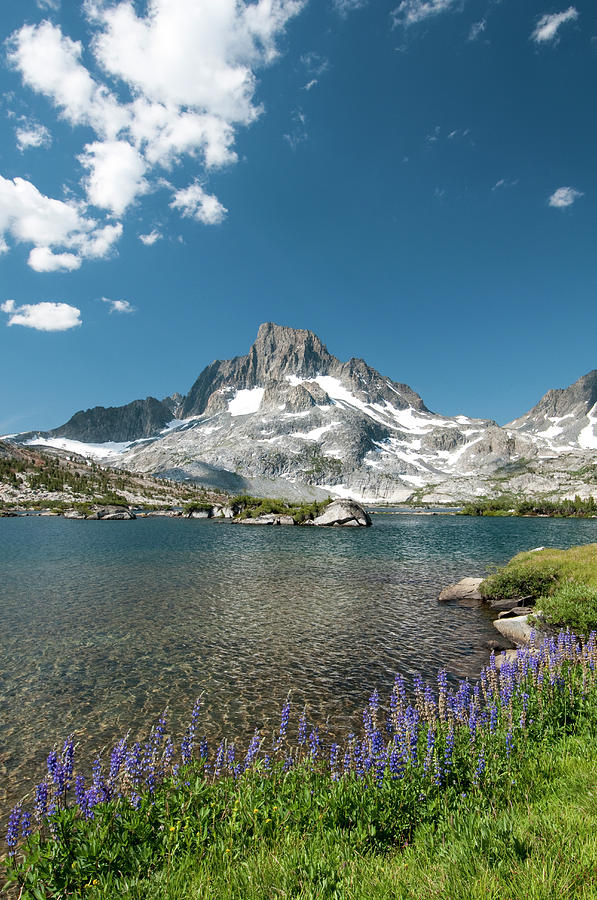 Spring Flowers Below Banner Peak And Photograph by Josh Miller Photography