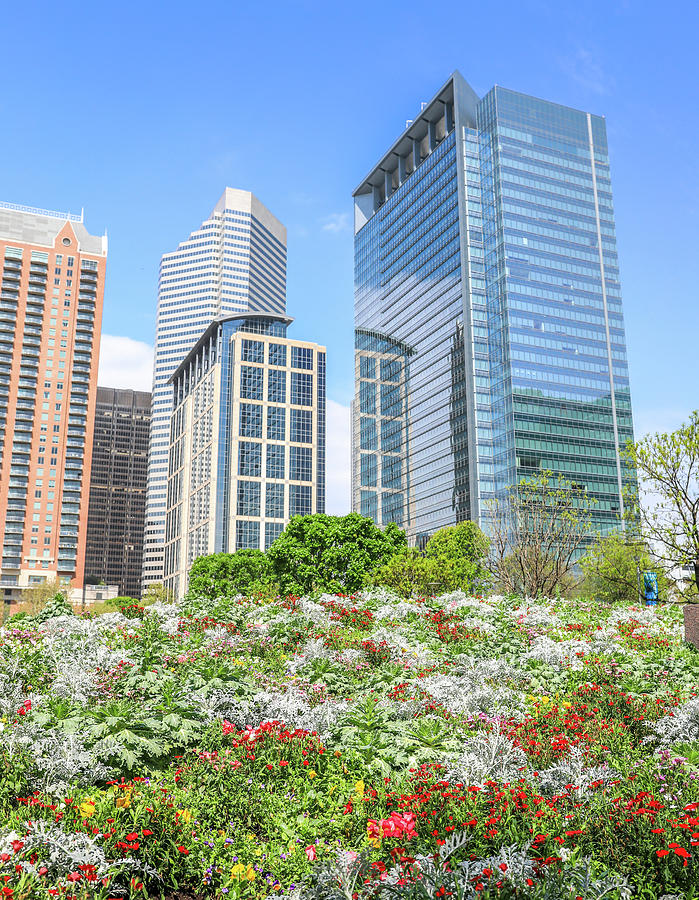 Spring Flowers In Houston by Dan Sproul Spring Flowers In Houston by Dan Sproul