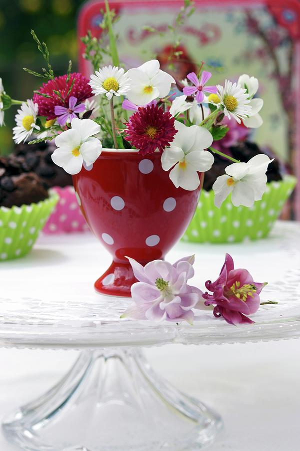 Spring Flowers In Red, Polka-dotted Egg Cup Photograph by Angelica Linnhoff