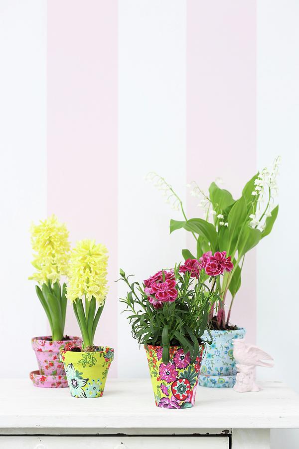 Spring Flowers In Terracotta Pots Covered In Colourful Fabrics Photograph by Thordis Rggeberg
