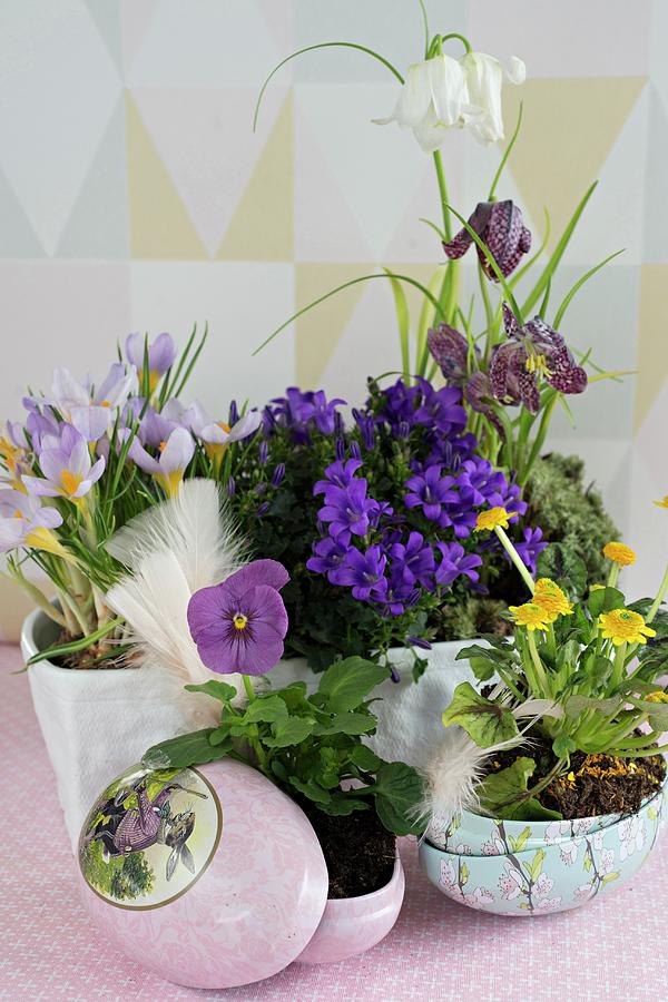 Spring Flowers Planted In Ornamental Easter Eggs And White Ceramic Bowl Photograph by Cecilia Mller