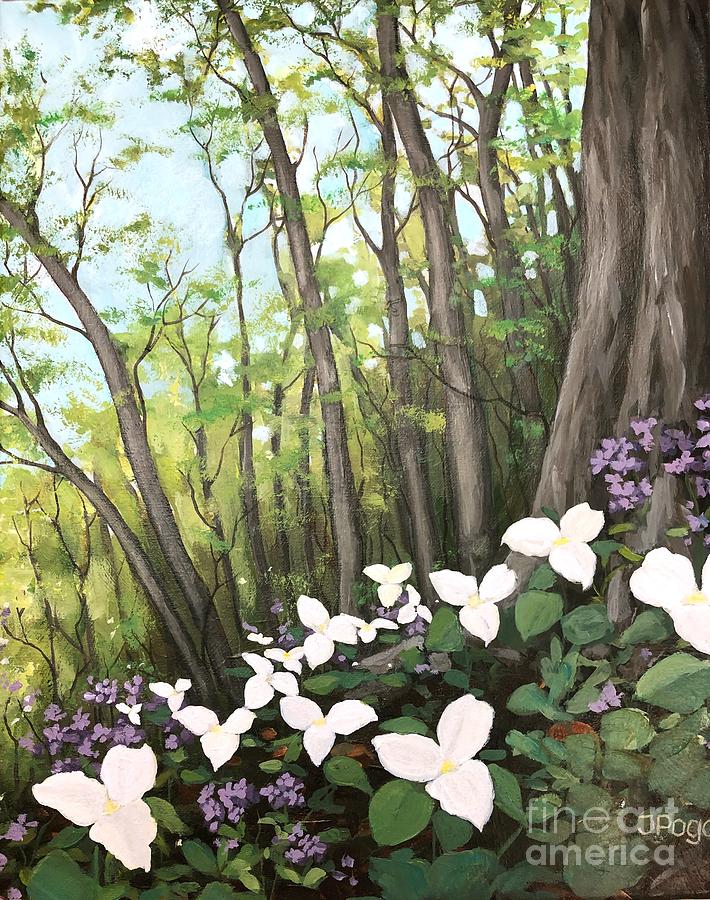 Spring forest trillium blooms by Inese Poga Spring forest trillium blooms by Inese Poga