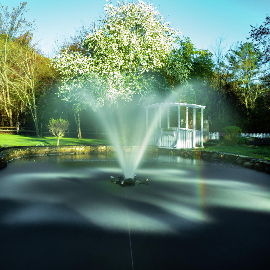Spring Fountain Photograph by William Bretton