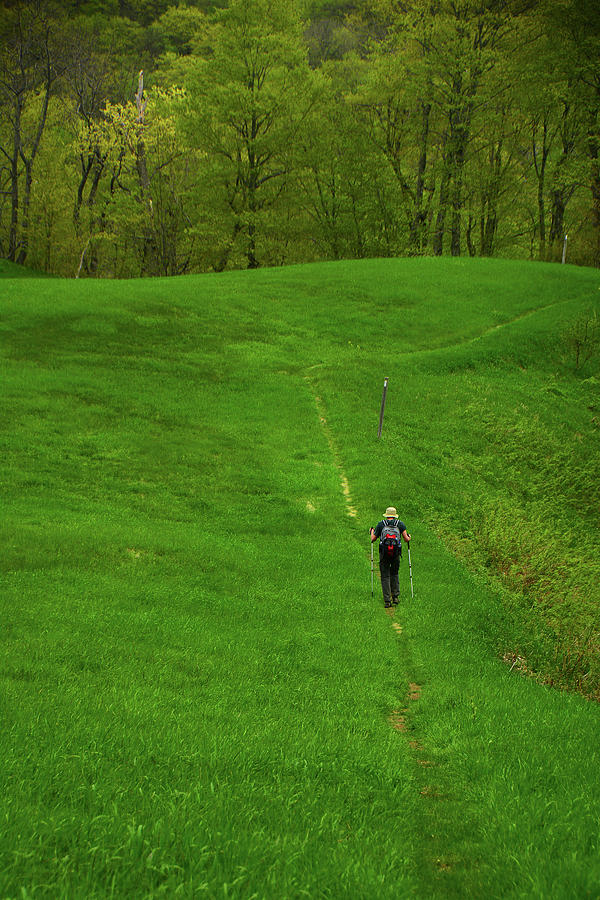 Spring Green Hiker on the VT AT Photograph by Raymond Salani III
