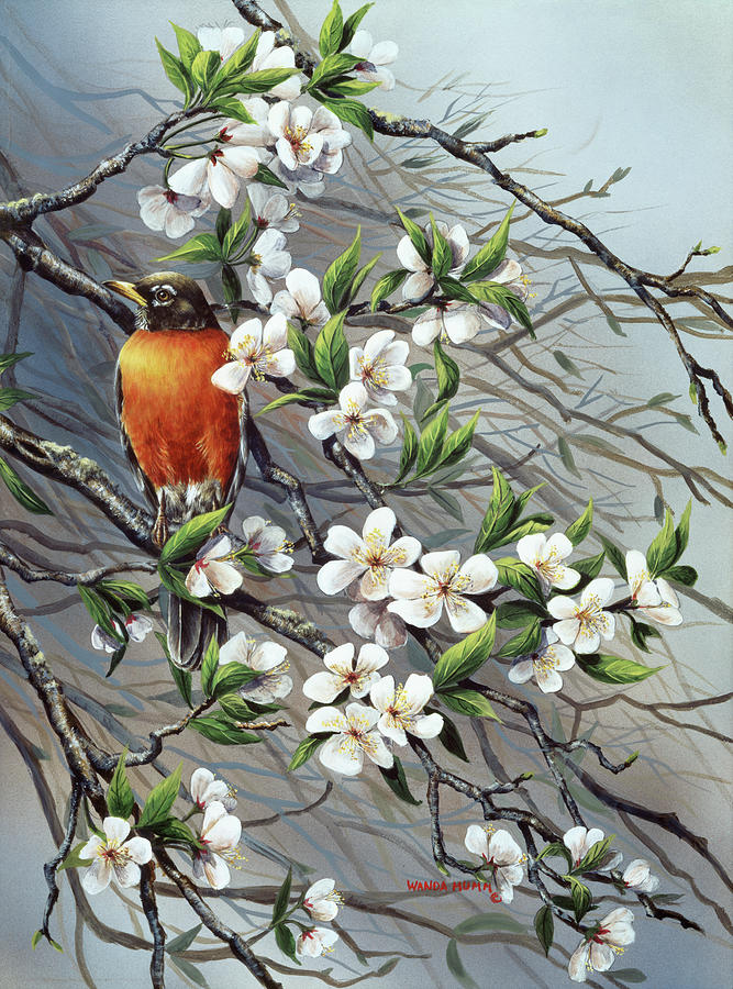 Spring Harbingers Painting by Wanda Mumm - Fine Art America