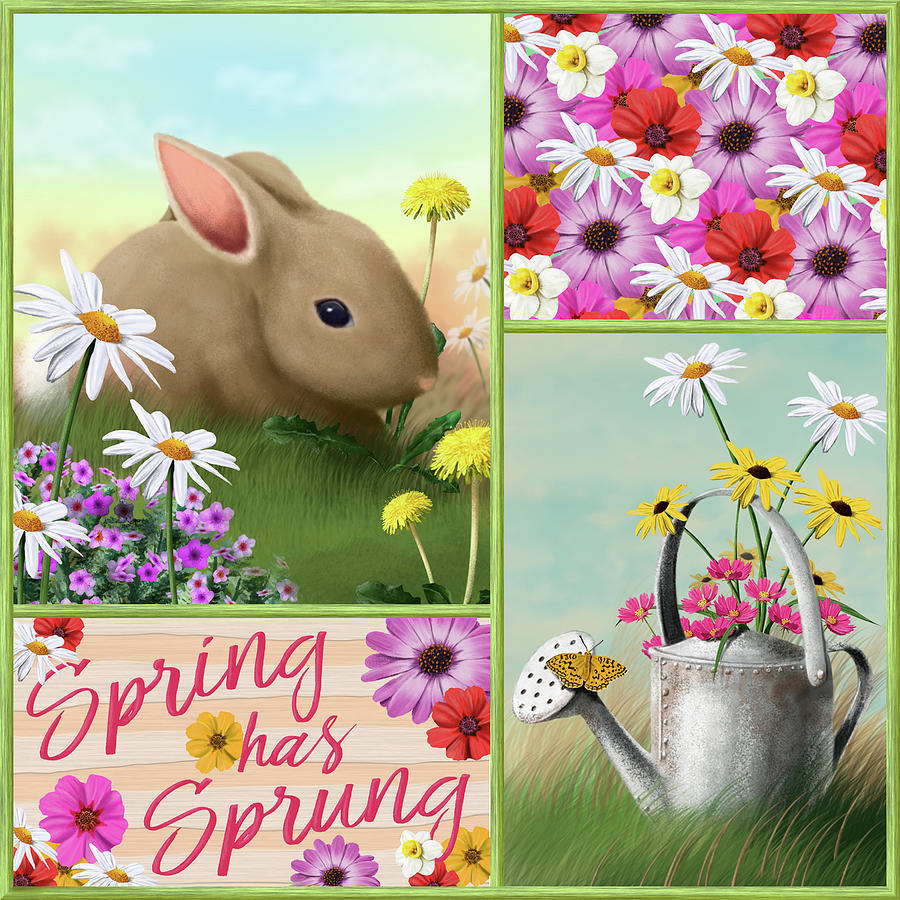 spring has sprung images