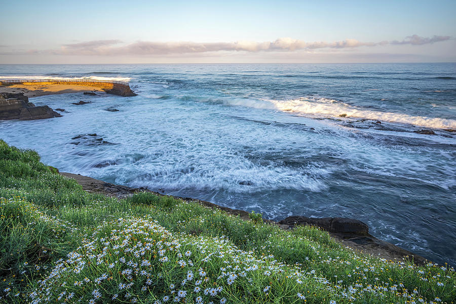 Spring Has Sprung Up by Joseph S Giacalone Spring Has Sprung Up by Joseph S Giacalone