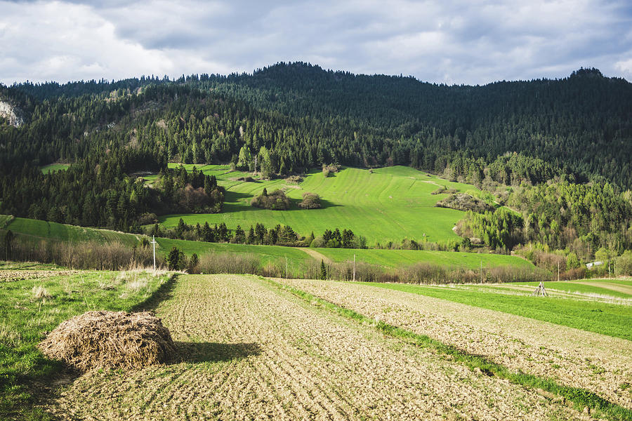 Spring Hills Landscape Poland Photograph by Pati Photography