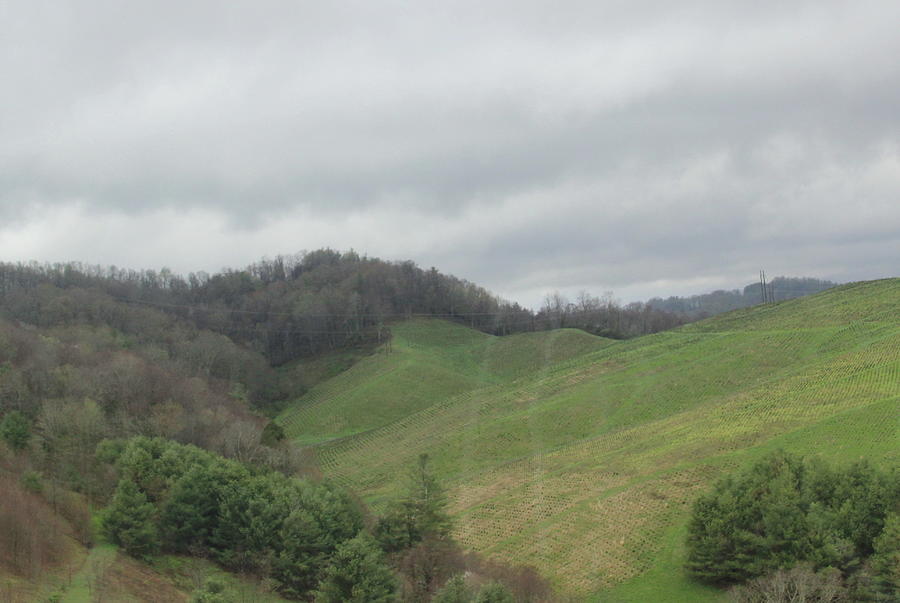 Spring Hills On 421n Photograph
