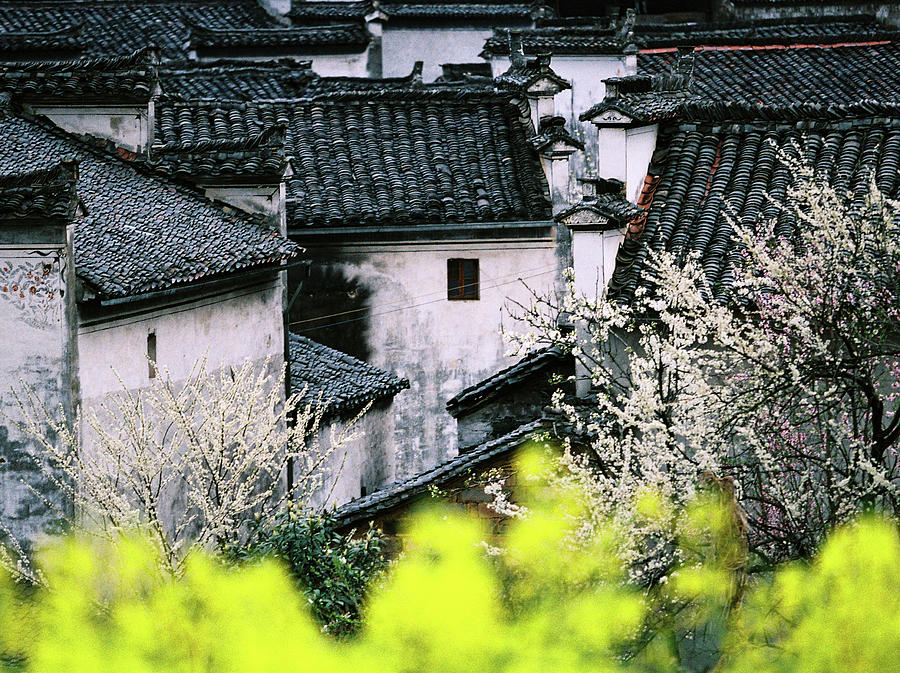 Spring Photograph by Huyuanpeng