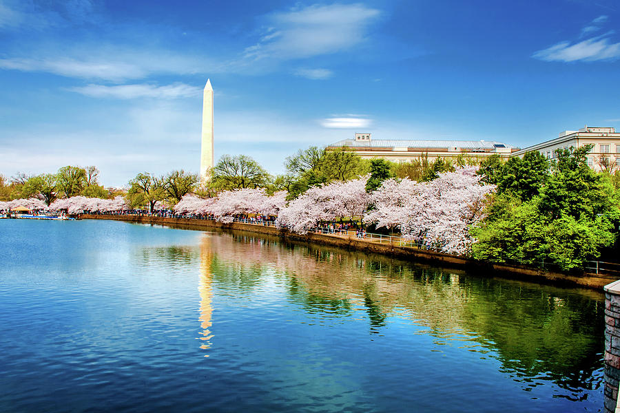 Spring in DC Photograph by Greg Fortier