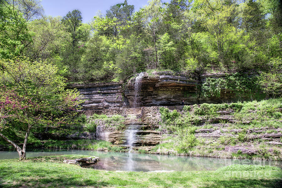 Spring in Dogwood Canyon Photograph by Lynn Sprowl