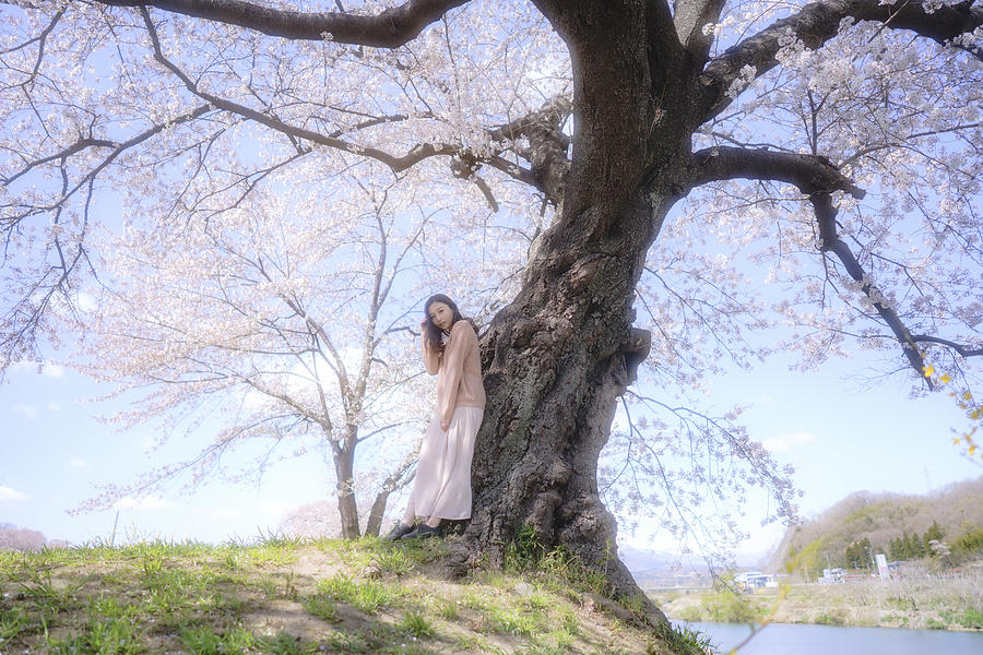 Spring In Full Bloom Photograph by Yoshihisa Nemoto