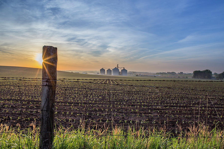 Spring in Iowa Photograph by Brian Abeling - Fine Art America