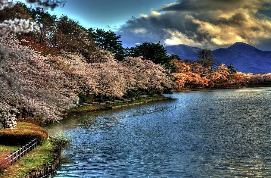 Spring In Japan Photograph by Jasohill Photography