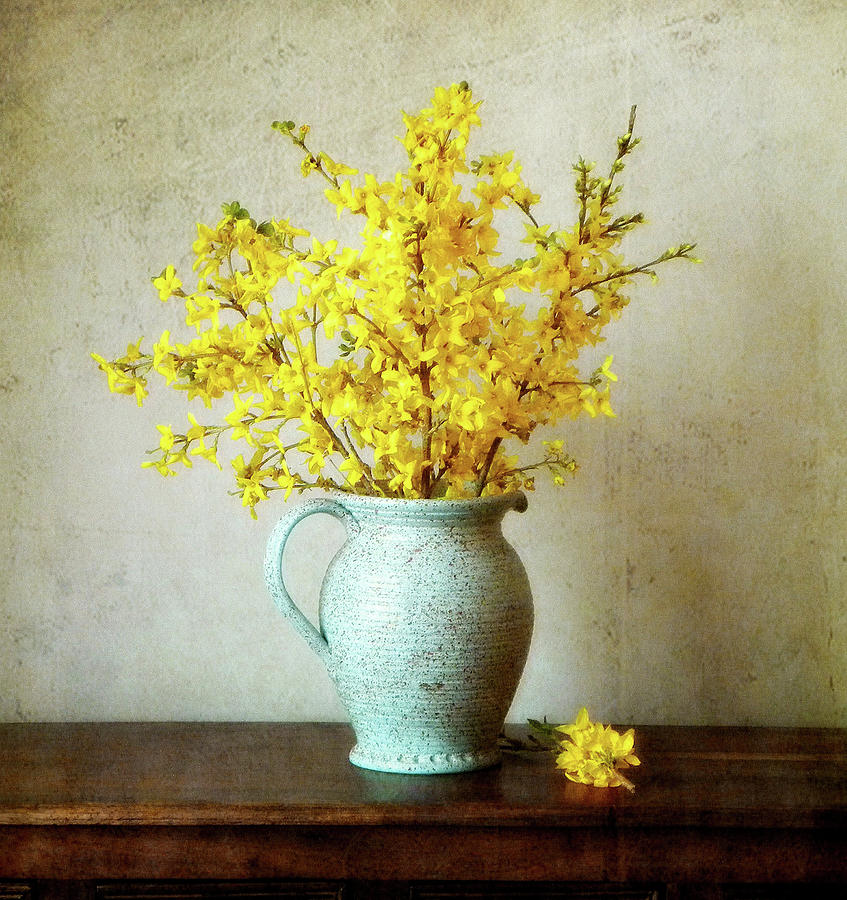 Spring In Jug Photograph by Vesna Armstrong