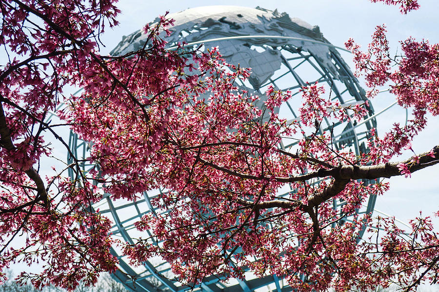 Spring Photograph - Spring in New York by Patrick Byrnes
