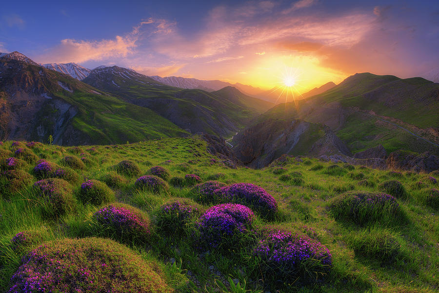 Mountain Photograph - Spring In Show by Saeed Younesi