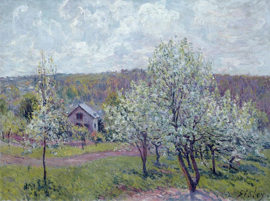 Alfred Sisley Painting - Spring in the Environs of Paris, Apple Blossom, 1879 by Alfred Sisley