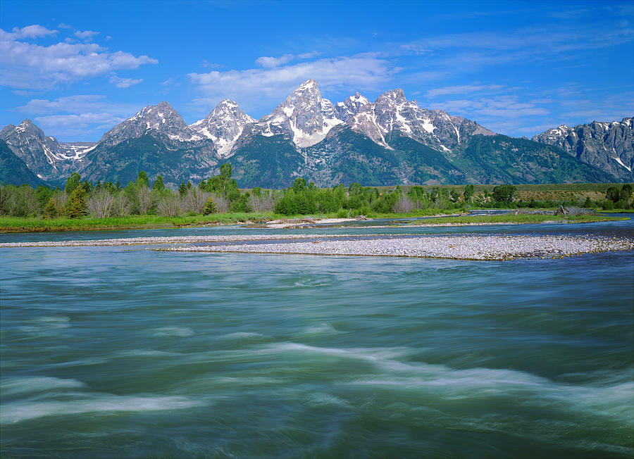 Spring In The Grand Teton National Park Photograph by Ron thomas