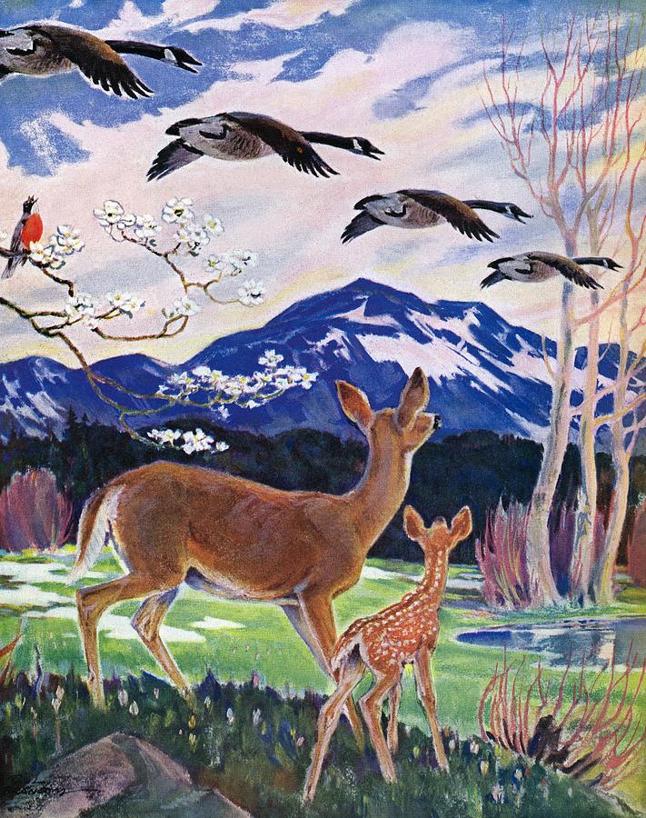 Spring In The Meadow Drawing by Paul Bransom