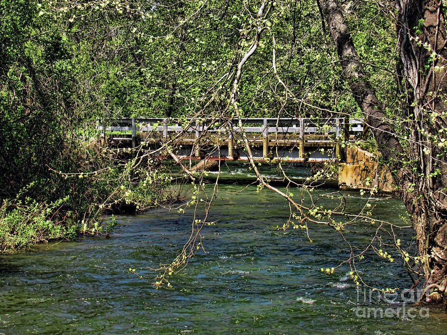 Spring in the North Carolina Mountains by Roberta Byram Spring in the North Carolina Mountains by Roberta Byram