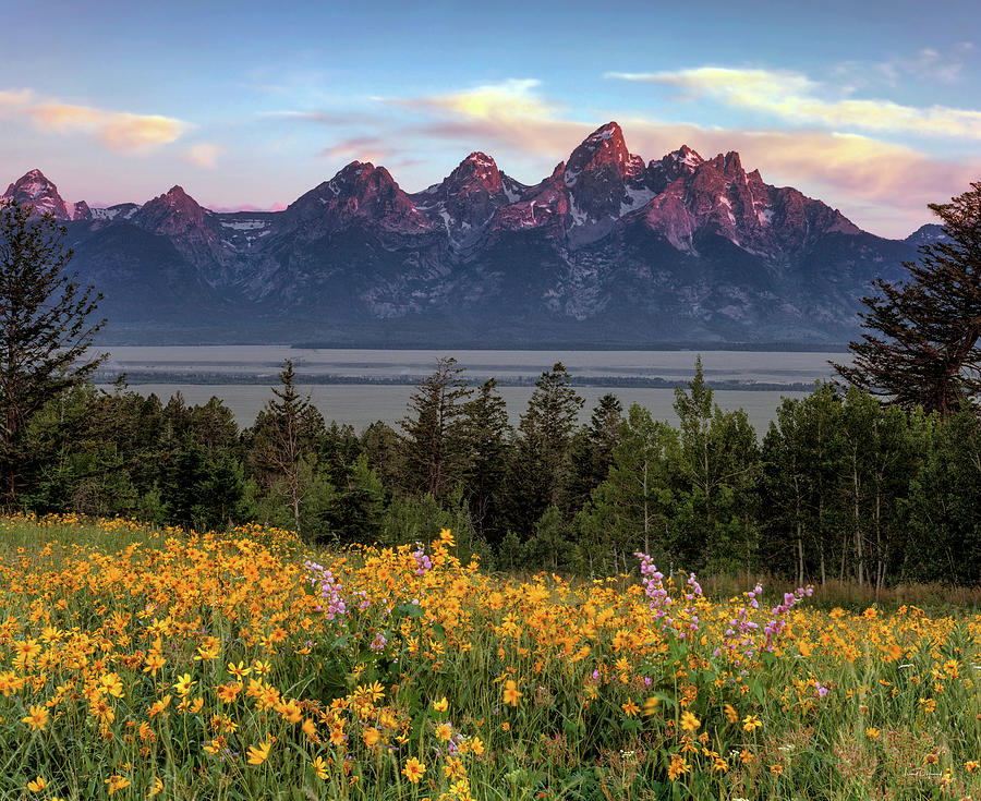 Spring in the Tetons Photograph by Leland D Howard