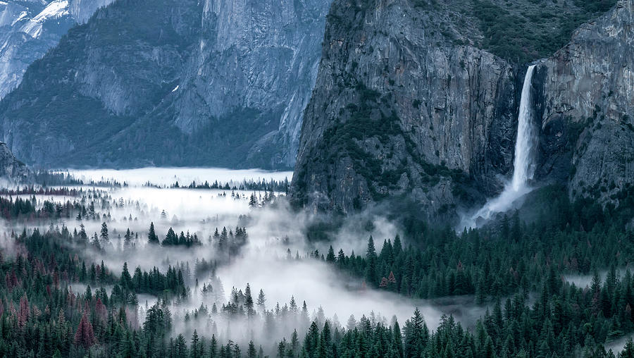 Spring In The Yosemite Valley Photograph by Rob Darby