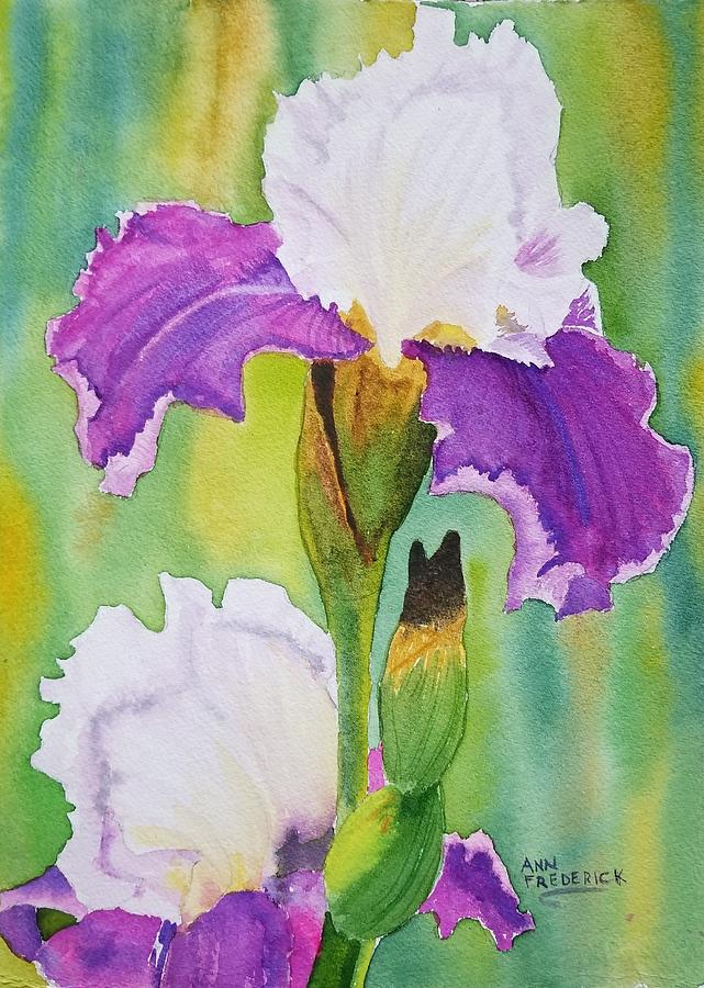 Spring Iris Painting by Ann Frederick