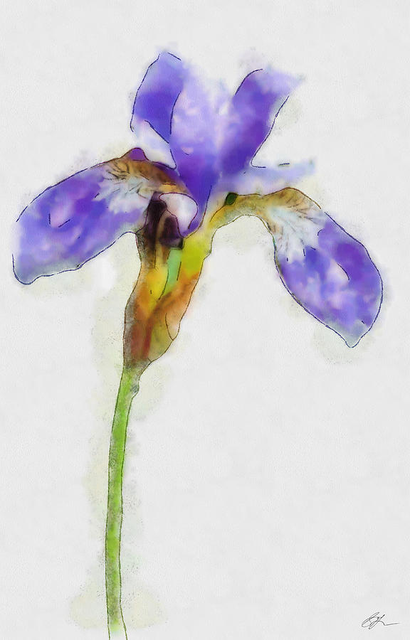 Spring Iris Painting