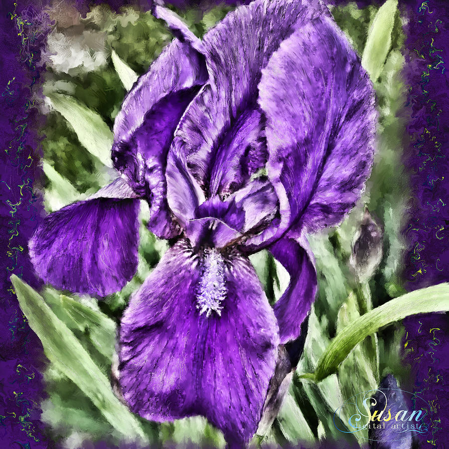 Spring Iris Digital Art by Susan Kinney