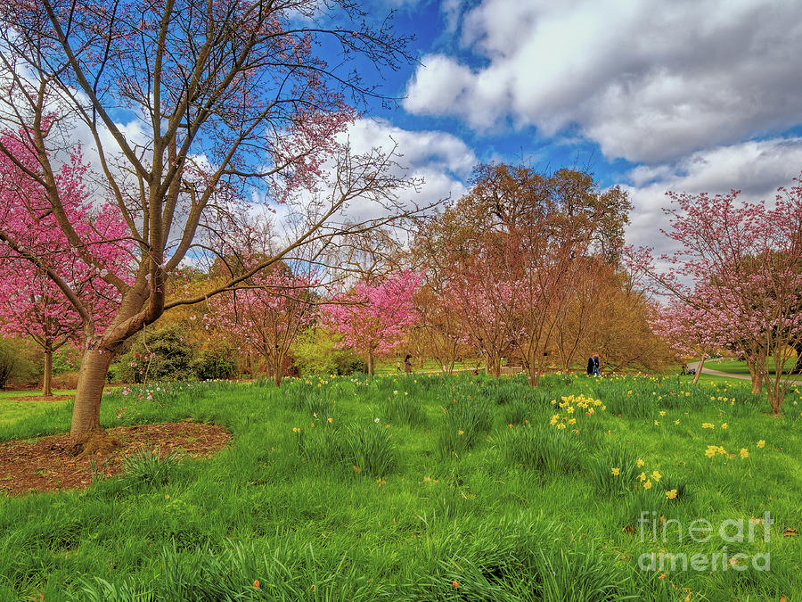 Spring is in the air #2 by Leigh Kemp Spring is in the air #2 by Leigh Kemp
