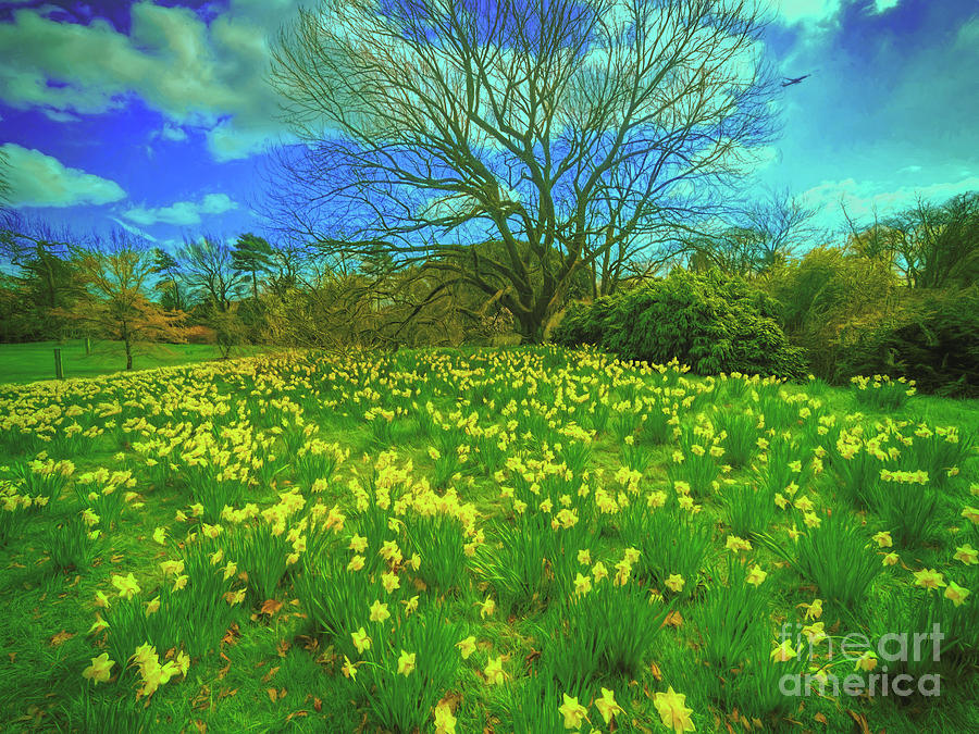 Spring is in the air by Leigh Kemp Spring is in the air by Leigh Kemp