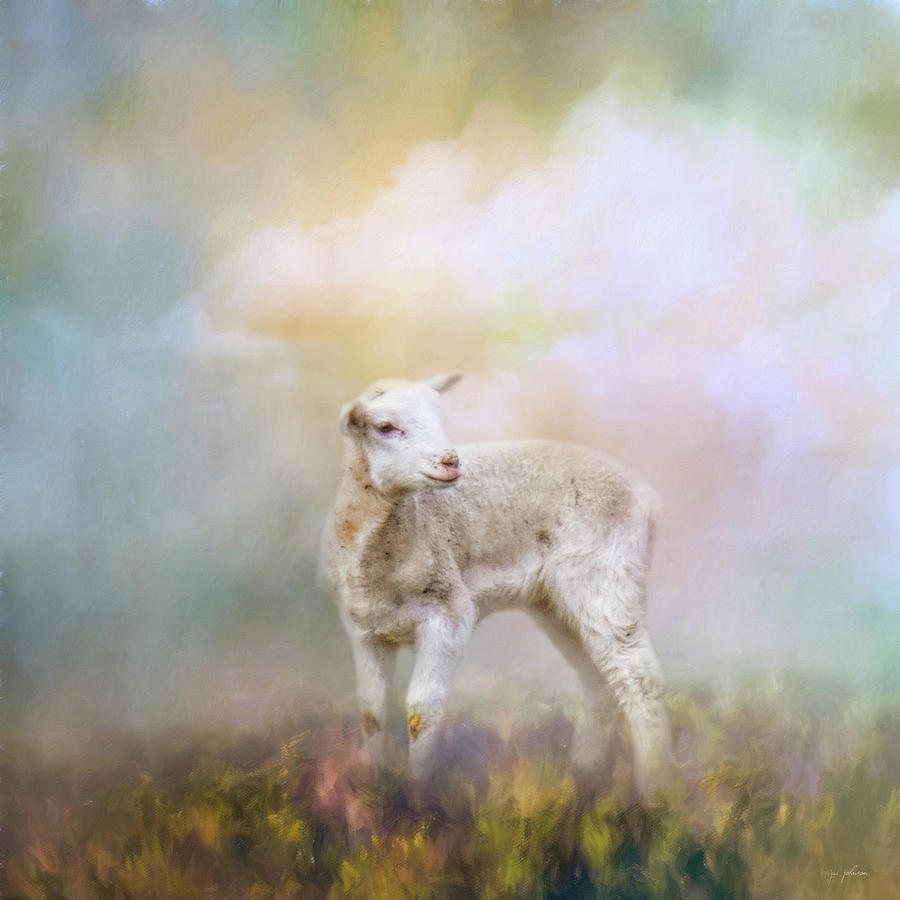 Spring Lamb Photograph by Jai Johnson