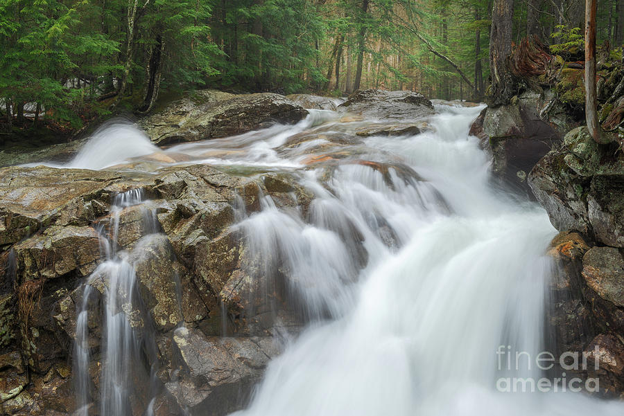 Spring Melt at The Basin by Sharon Seaward Spring Melt at The Basin by Sharon Seaward