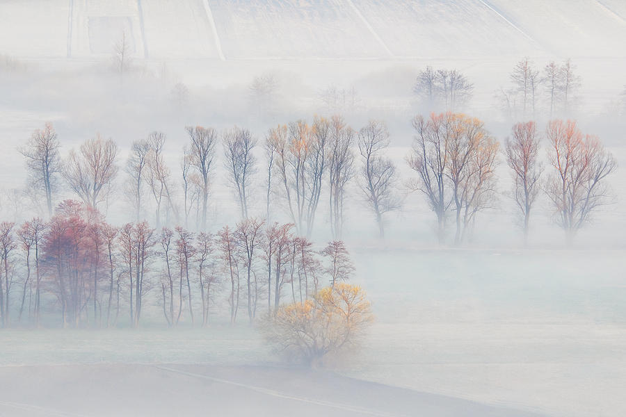Spring Mists Photograph by Ales Komovec