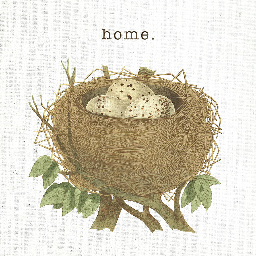 Spring Nest II Home Mixed Media by Moira Hershey Spring Nest II Home Mixed Media by Moira Hershey