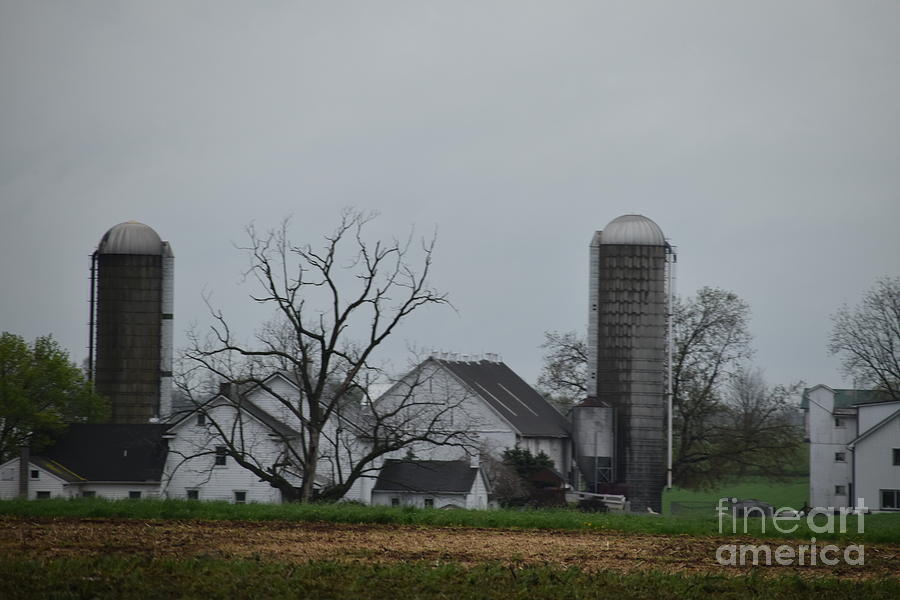 Spring on an Amish Farm Photograph by Christine Clark