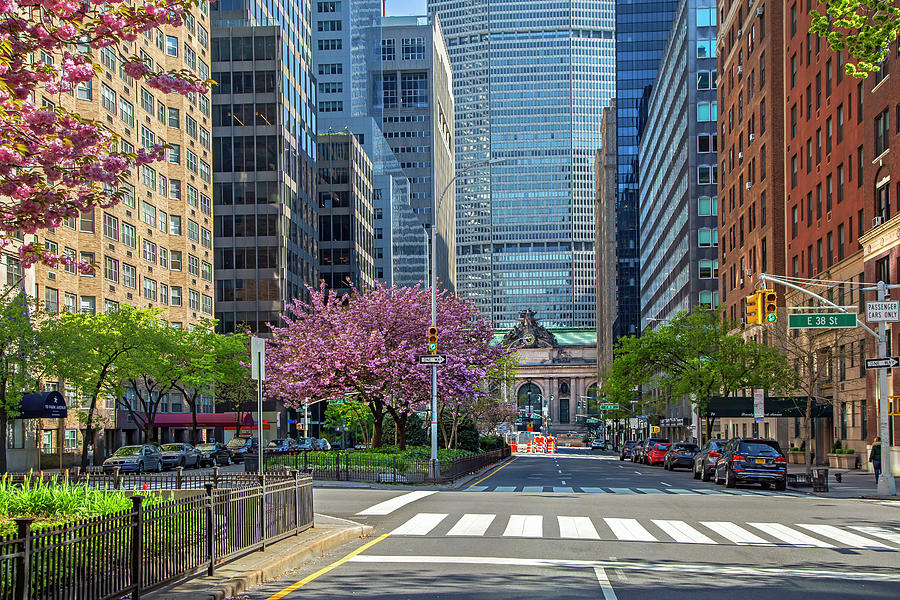 Spring On Park Avenue, Nyc Digital Art by Lumiere