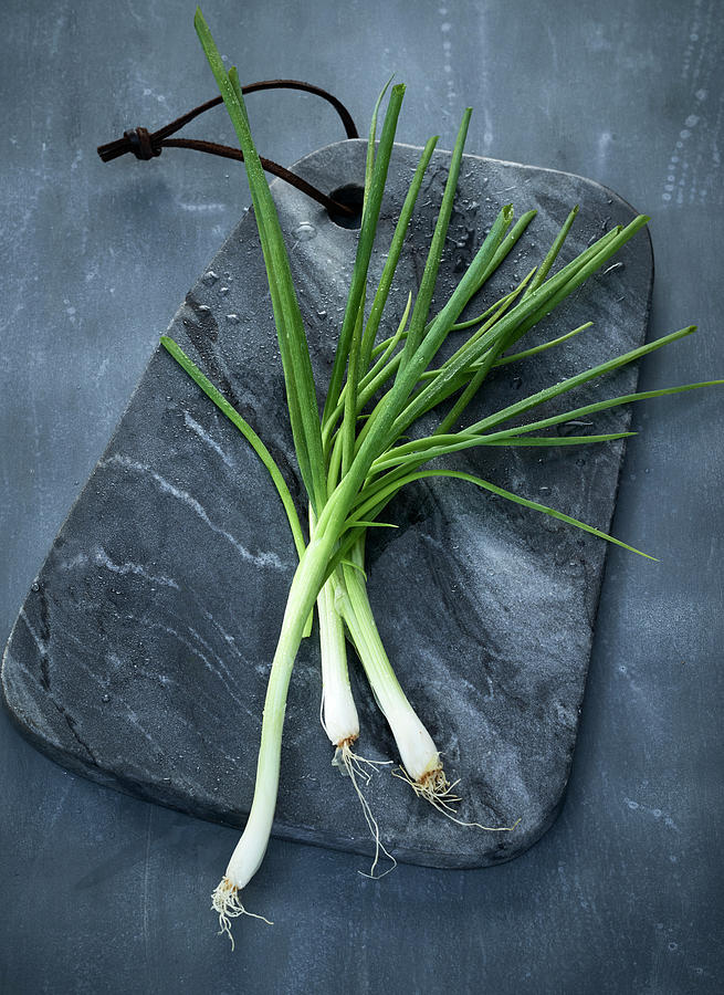 Spring Onions On A Grey Marbled Board Photograph by Stefan Schulte-ladbeck