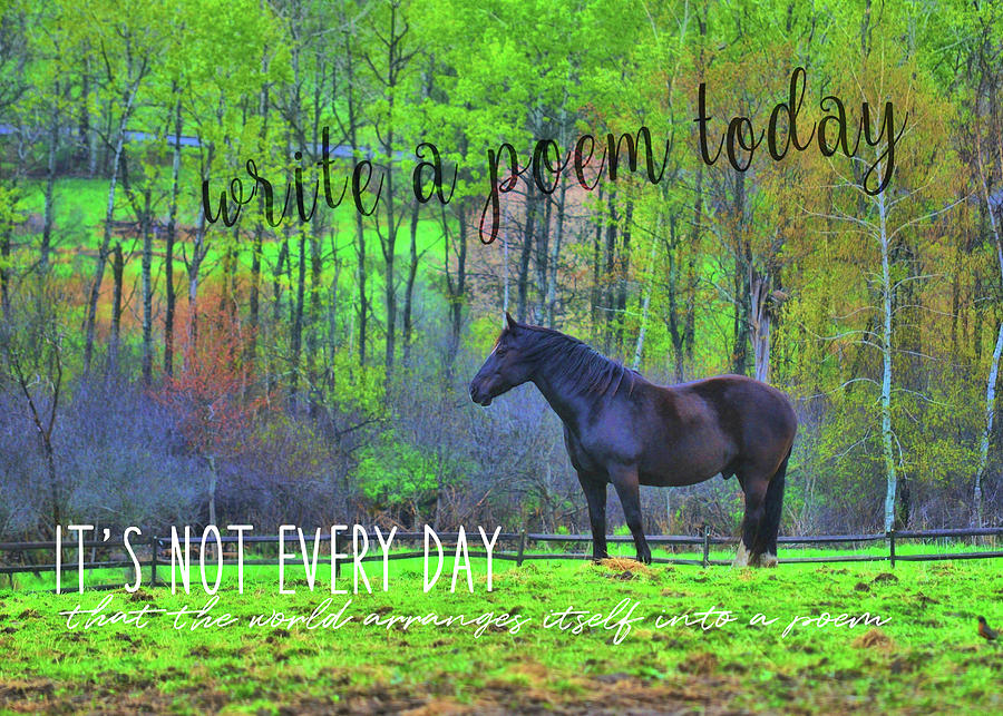 SPRING PASTURE quote Photograph by Dressage Design