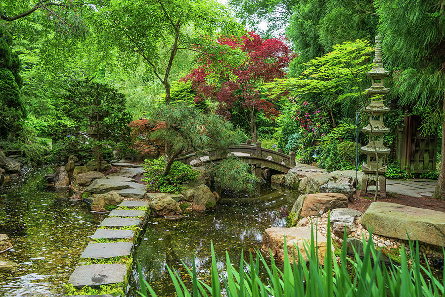 Spring Pathway Photograph by Carrie Goeringer - Fine Art America